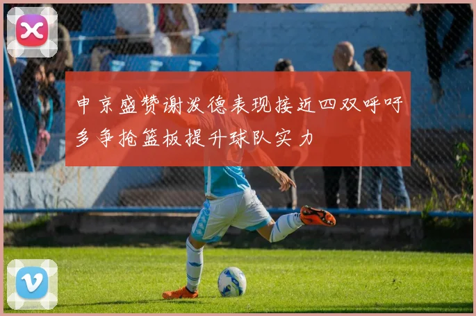 申京盛赞谢泼德表现接近四双呼吁多争抢篮板提升球队实力
