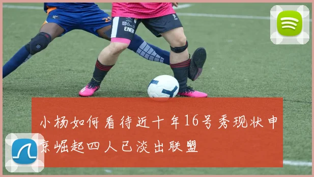 小杨如何看待近十年16号秀现状申京崛起四人已淡出联盟